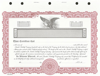 Goes® KG9 Custom Printed LLC Certificate